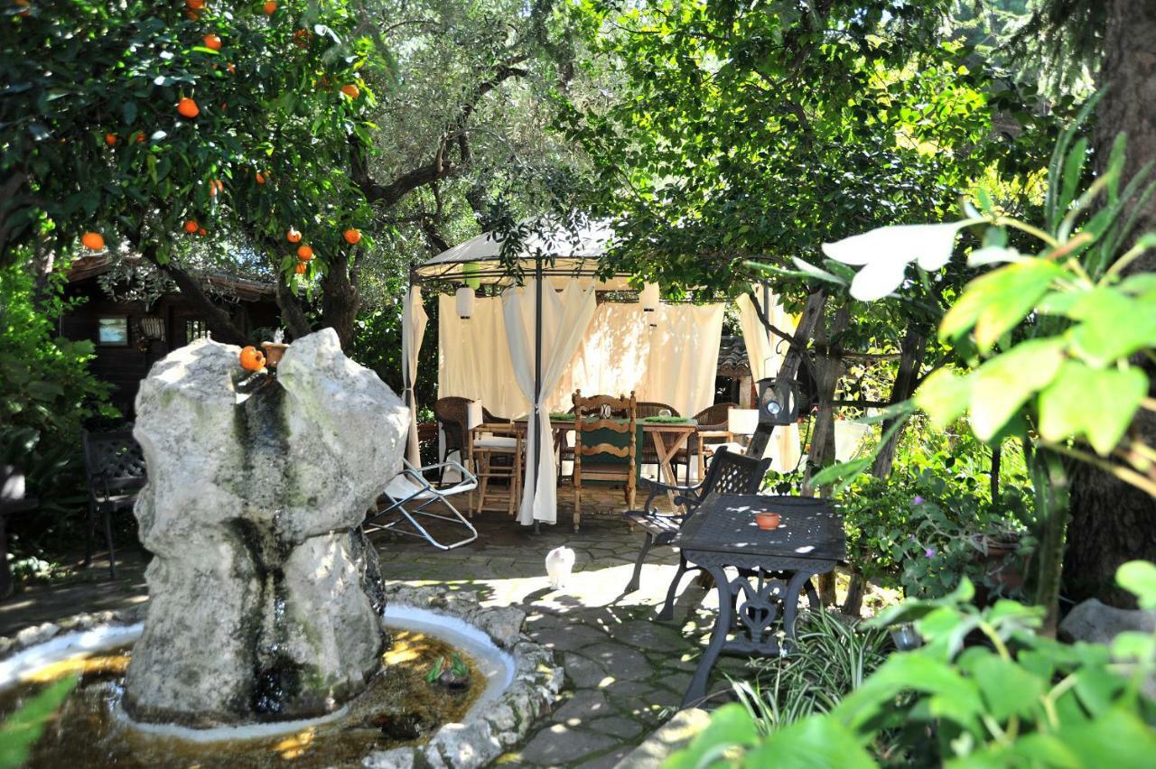 Bed and Breakfast Casa Pontecorvi Веллетрі Екстер'єр фото